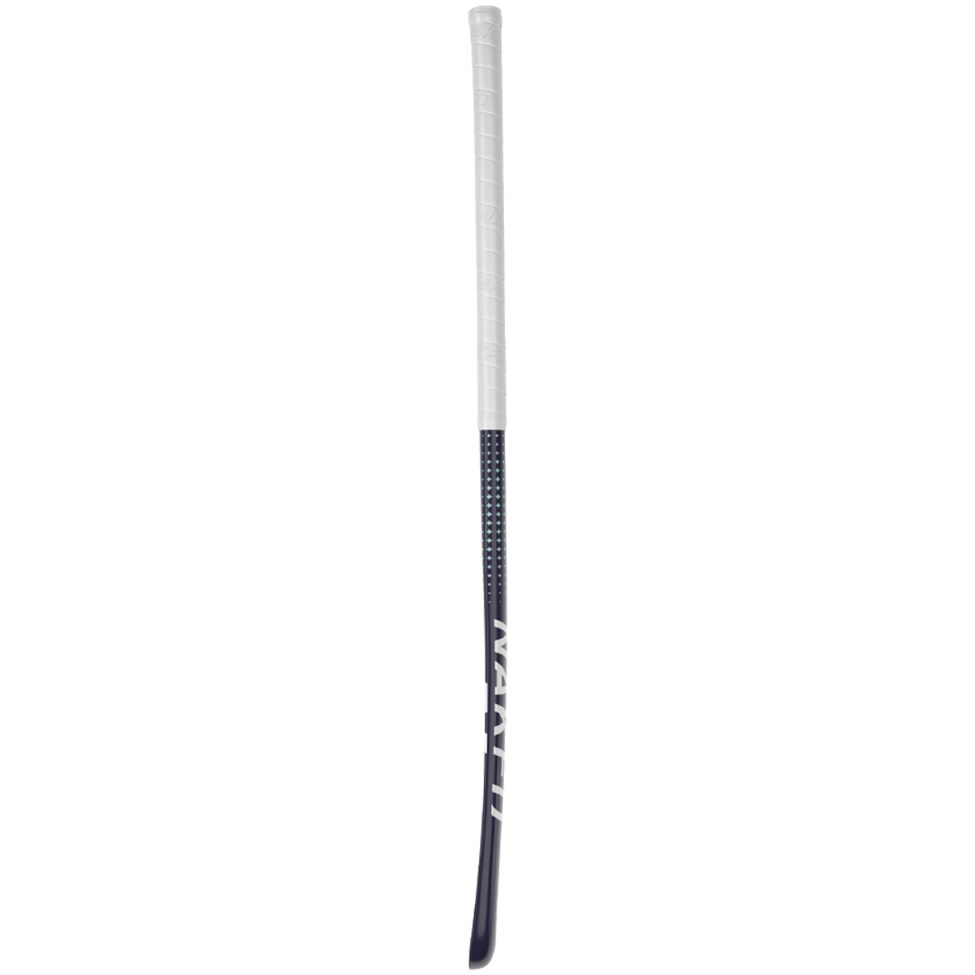 Zeme 30 (2025)