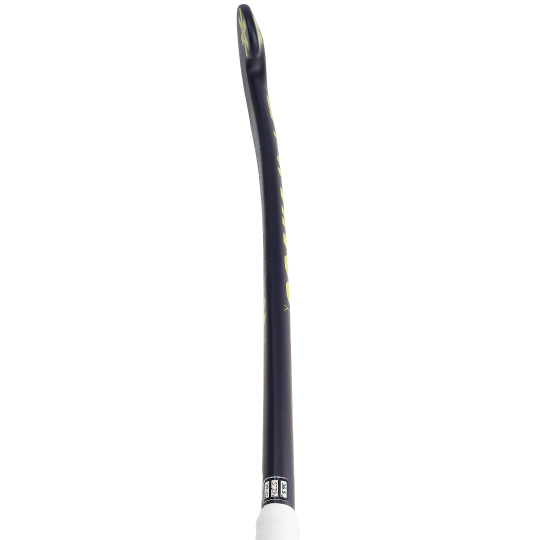 Pro Bow 25 (2025)