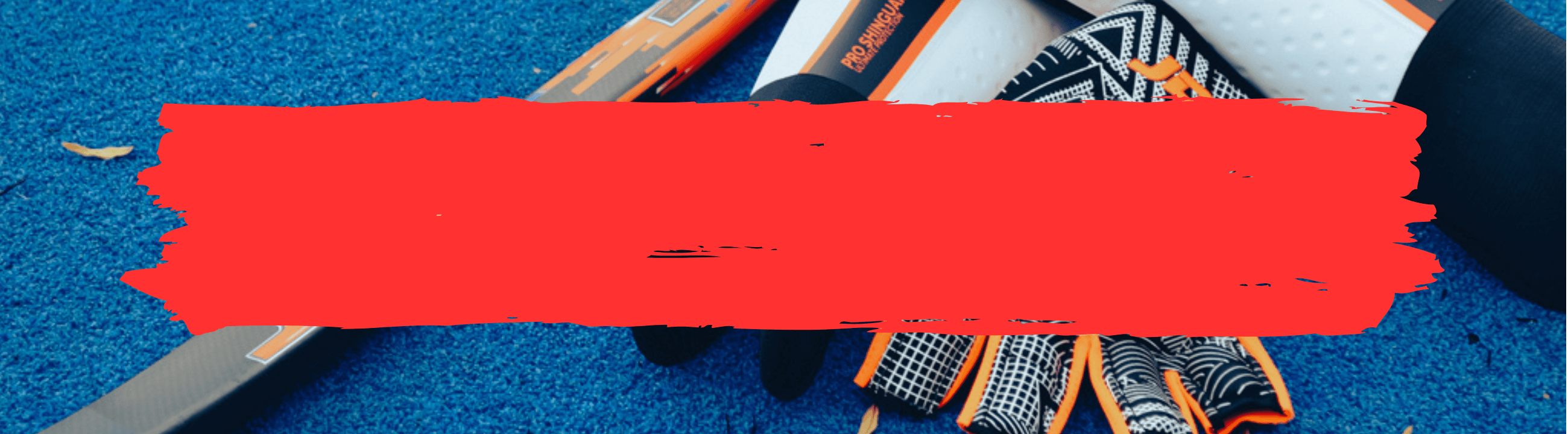 JDH Sale Hockey Sticks | Total Hockey