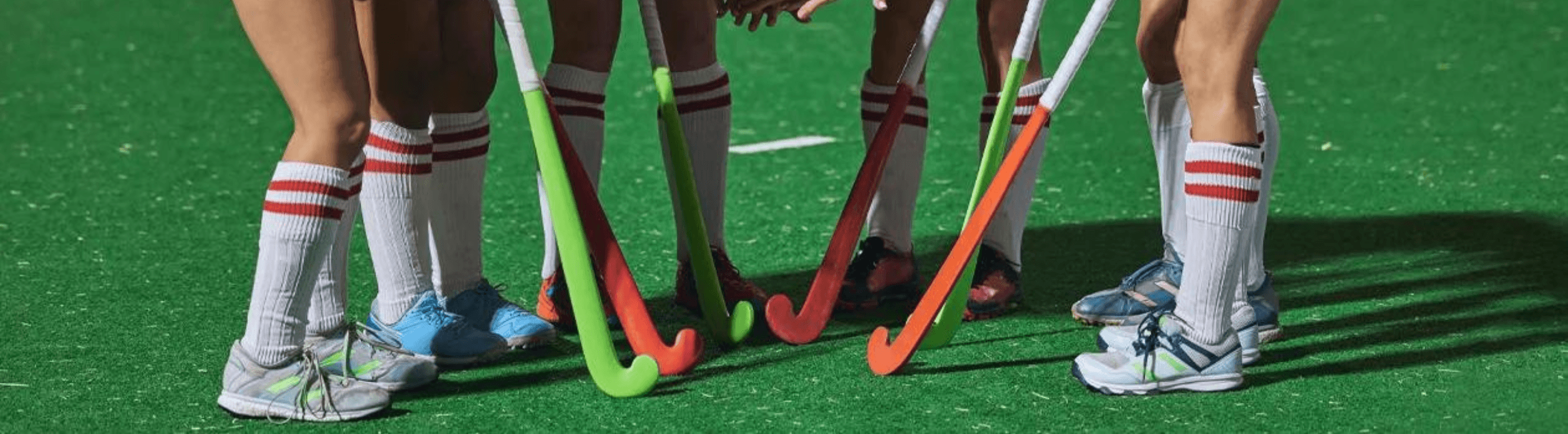Stanno Socks
