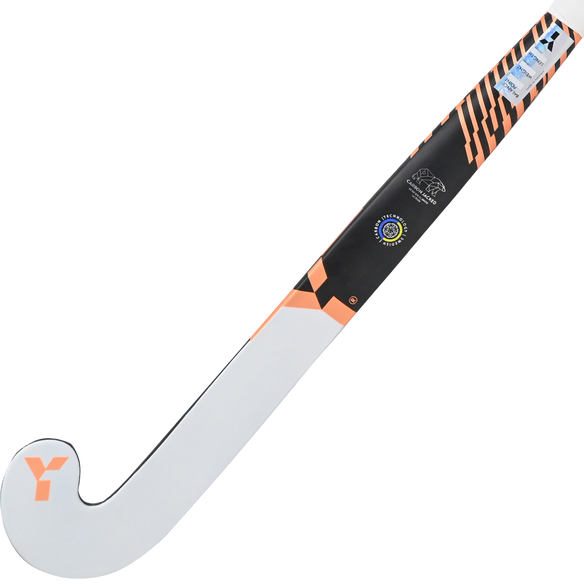 YLB X (2026)