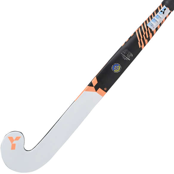 YLB X.2 (2026)